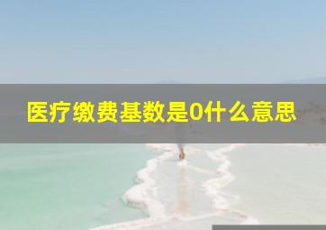 医疗缴费基数是0什么意思