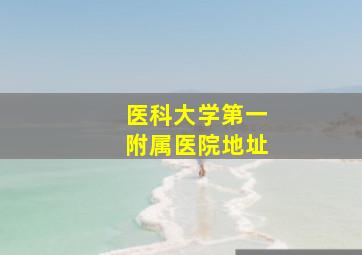 医科大学第一附属医院地址