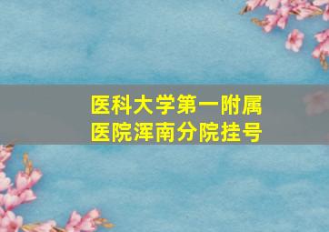 医科大学第一附属医院浑南分院挂号