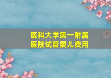 医科大学第一附属医院试管婴儿费用