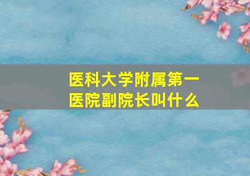 医科大学附属第一医院副院长叫什么