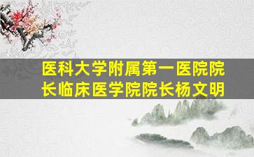 医科大学附属第一医院院长临床医学院院长杨文明