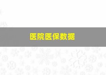 医院医保数据