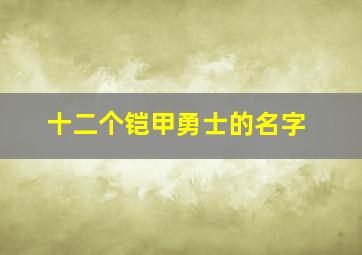 十二个铠甲勇士的名字