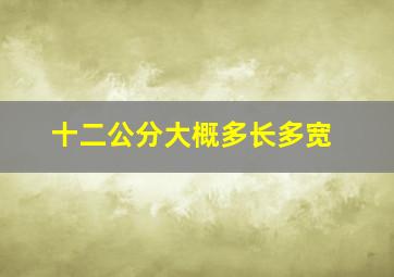 十二公分大概多长多宽