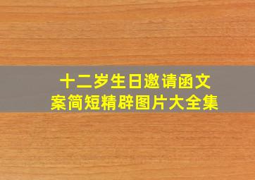 十二岁生日邀请函文案简短精辟图片大全集