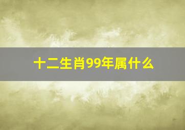 十二生肖99年属什么