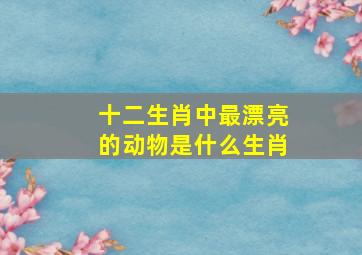 十二生肖中最漂亮的动物是什么生肖