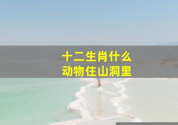 十二生肖什么动物住山洞里