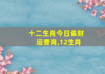 十二生肖今日偏财运查询,12生肖