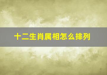 十二生肖属相怎么排列