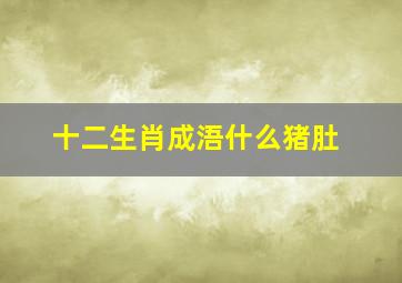 十二生肖成浯什么猪肚