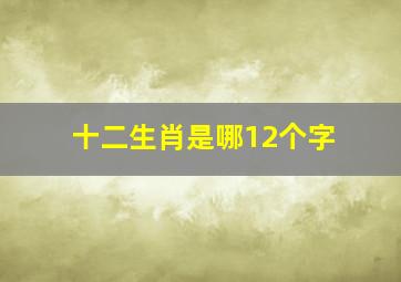 十二生肖是哪12个字