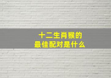 十二生肖猴的最佳配对是什么