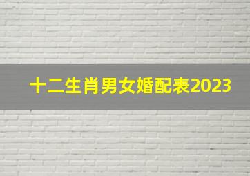 十二生肖男女婚配表2023