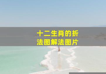 十二生肖的折法图解法图片