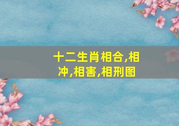 十二生肖相合,相冲,相害,相刑图