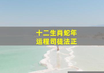 十二生肖蛇年运程司徒法正