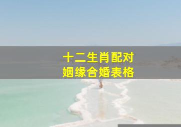 十二生肖配对姻缘合婚表格