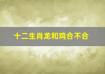 十二生肖龙和鸡合不合