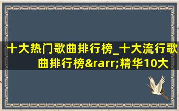 十大热门歌曲排行榜_十大流行歌曲排行榜→精华10大网