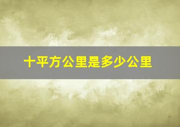 十平方公里是多少公里