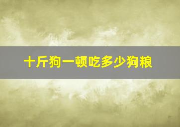 十斤狗一顿吃多少狗粮