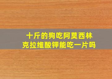 十斤的狗吃阿莫西林克拉维酸钾能吃一片吗