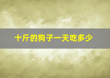 十斤的狗子一天吃多少