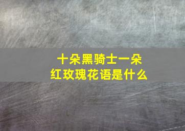 十朵黑骑士一朵红玫瑰花语是什么