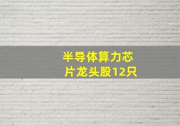 半导体算力芯片龙头股12只