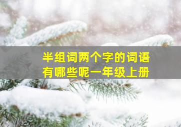 半组词两个字的词语有哪些呢一年级上册