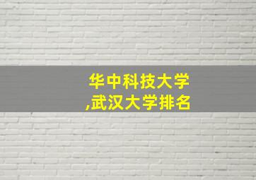 华中科技大学,武汉大学排名