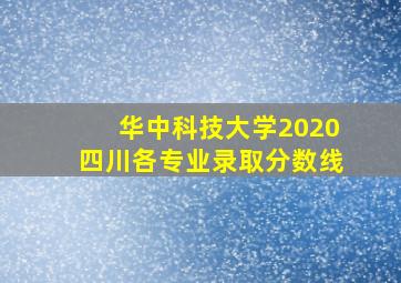 华中科技大学2020四川各专业录取分数线