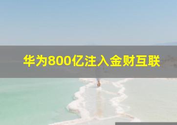 华为800亿注入金财互联