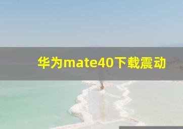 华为mate40下载震动