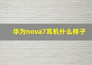 华为nova7耳机什么样子