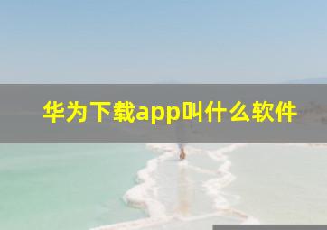 华为下载app叫什么软件