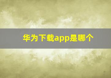 华为下载app是哪个