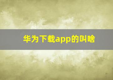 华为下载app的叫啥