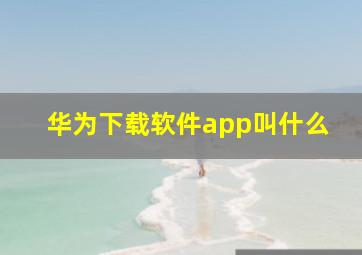 华为下载软件app叫什么