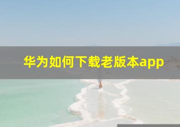 华为如何下载老版本app