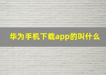 华为手机下载app的叫什么