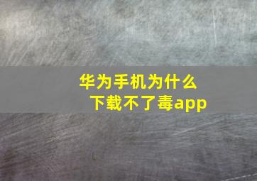 华为手机为什么下载不了毒app