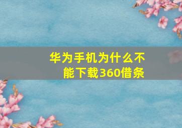 华为手机为什么不能下载360借条