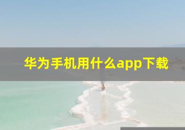 华为手机用什么app下载