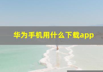 华为手机用什么下载app