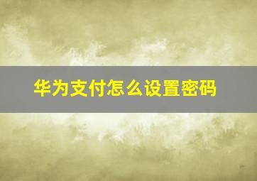 华为支付怎么设置密码