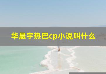 华晨宇热巴cp小说叫什么