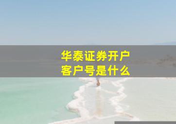 华泰证券开户客户号是什么